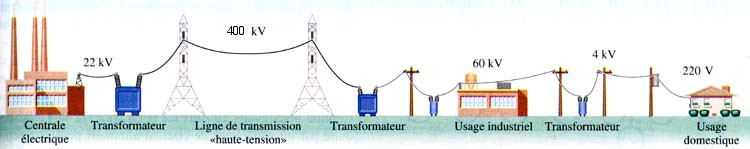 distribution