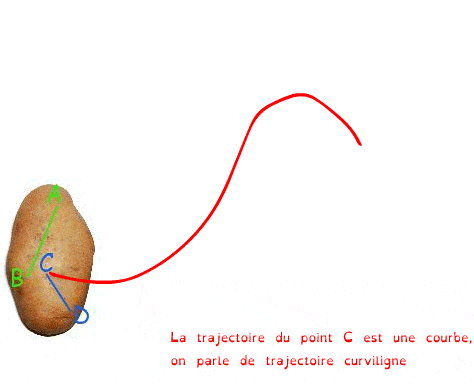 Patata Curv min