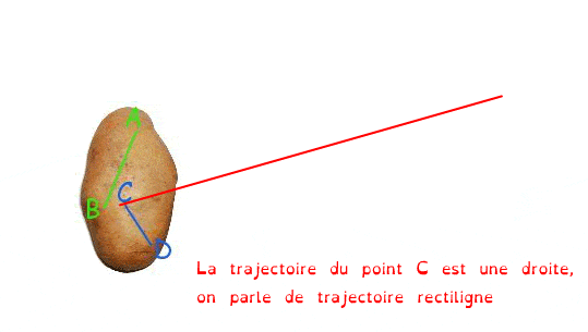 Patate Rect min