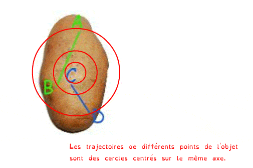Patate Rot min